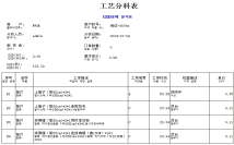 Multilingual version